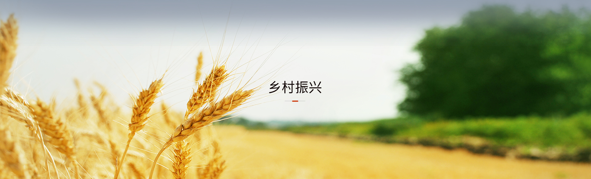 墟落振兴