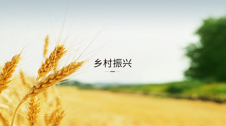 墟落振兴