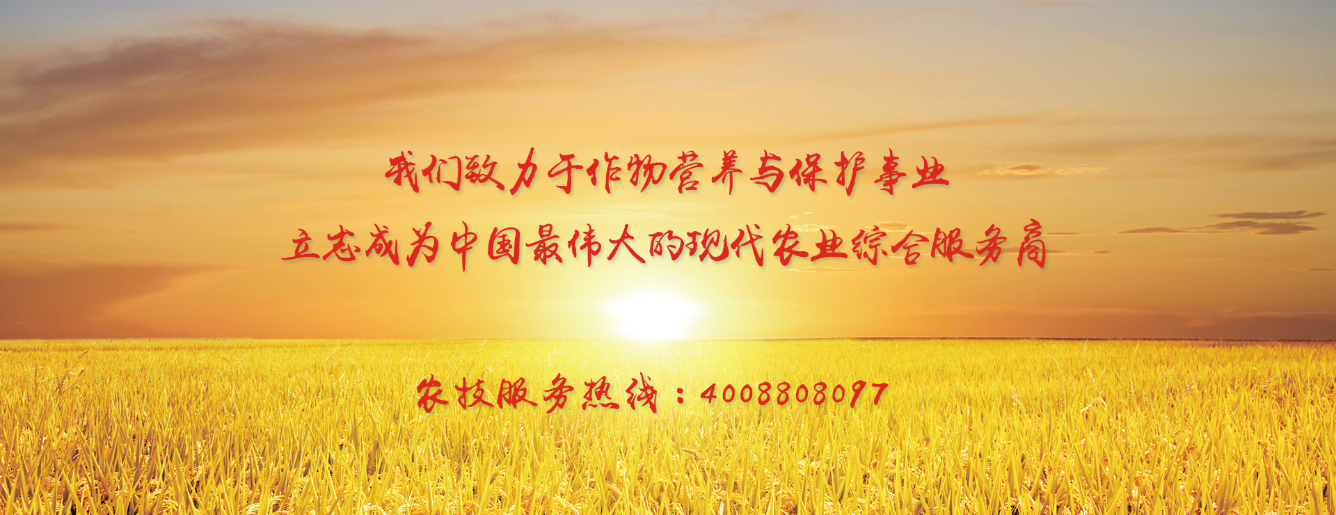 ũ