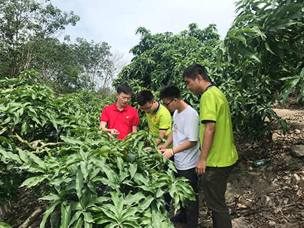 好博(中国)体育智能科技股份有限公司网站